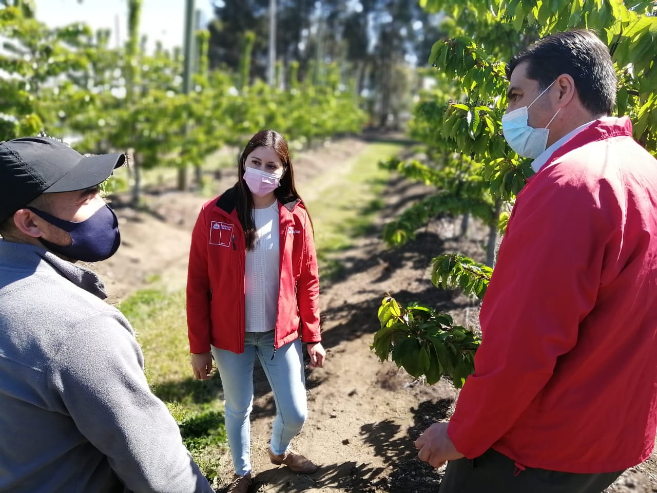 Gobierno lanza “Súmate al Agro” para impulsar puestos de trabajo en la región