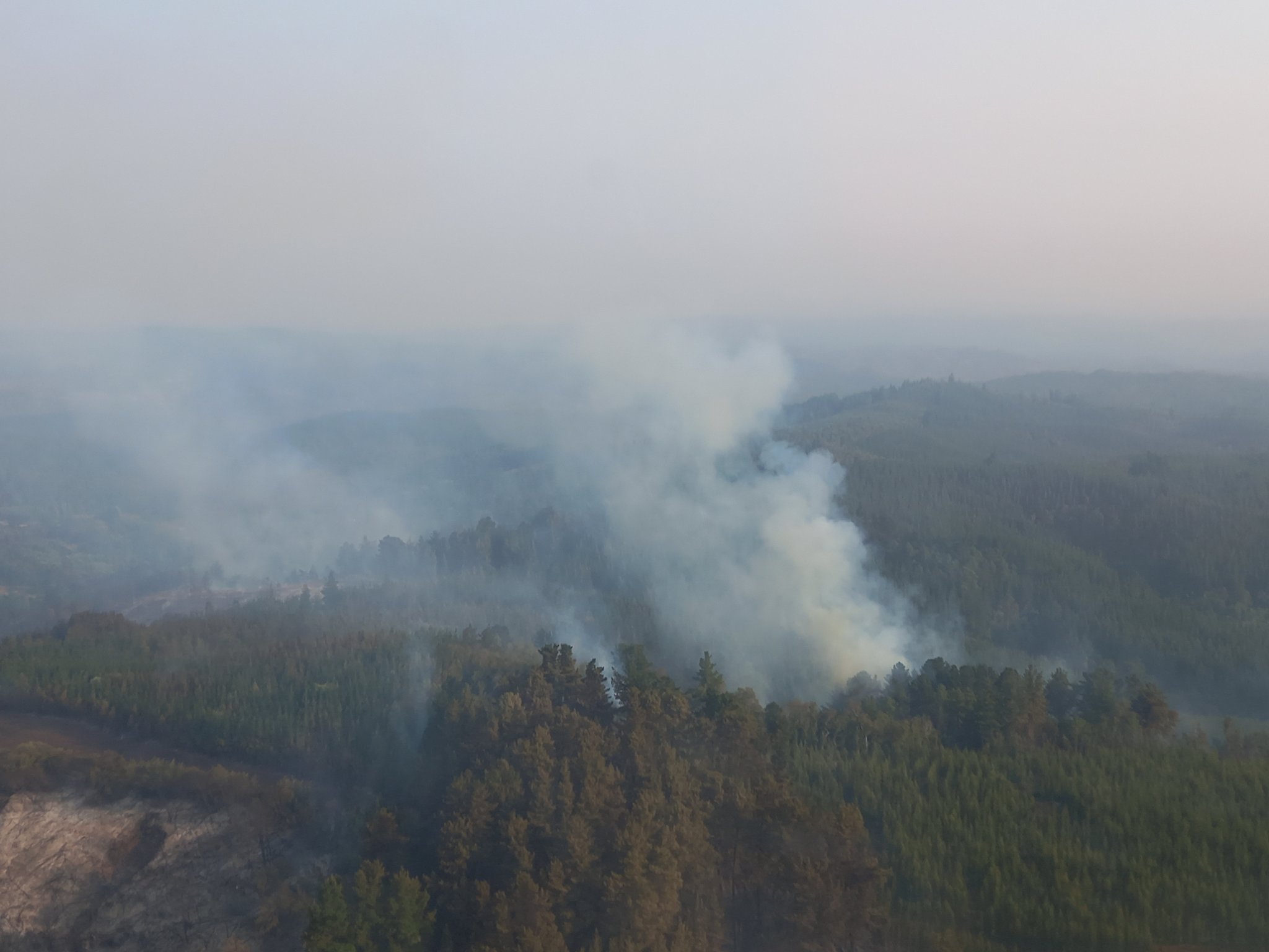 Conaf destaca baja en la intensidad de los incendios en Hualqui y Yumbel