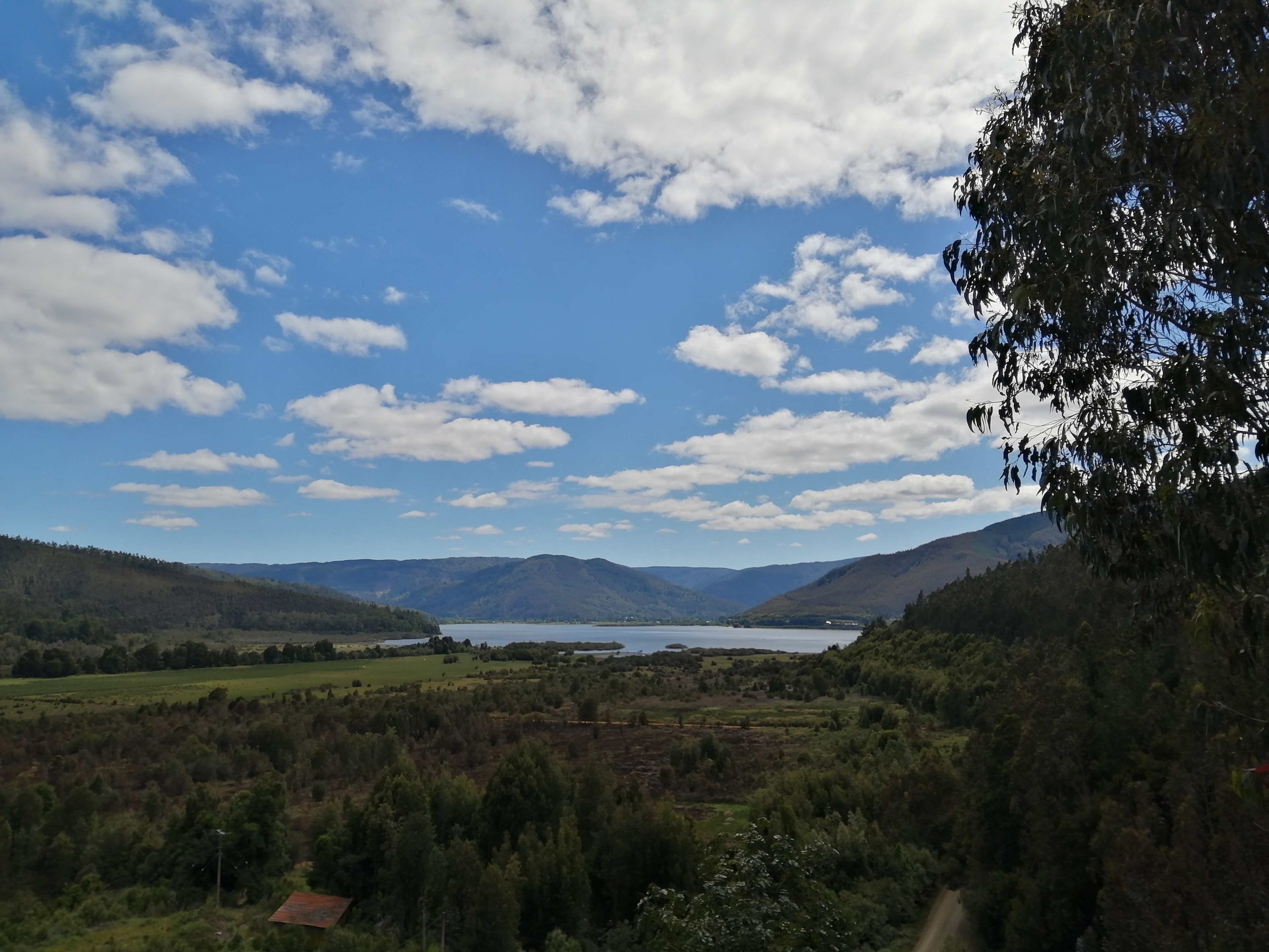 Plan Nacional de Restauración de Paisajes Tendrá Protagonismo de Lagos y Lagunas Sureñas