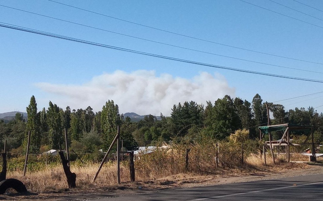 Decretan alerta roja por incendios que han consumido más de 5 mil hectáreas en el Biobío