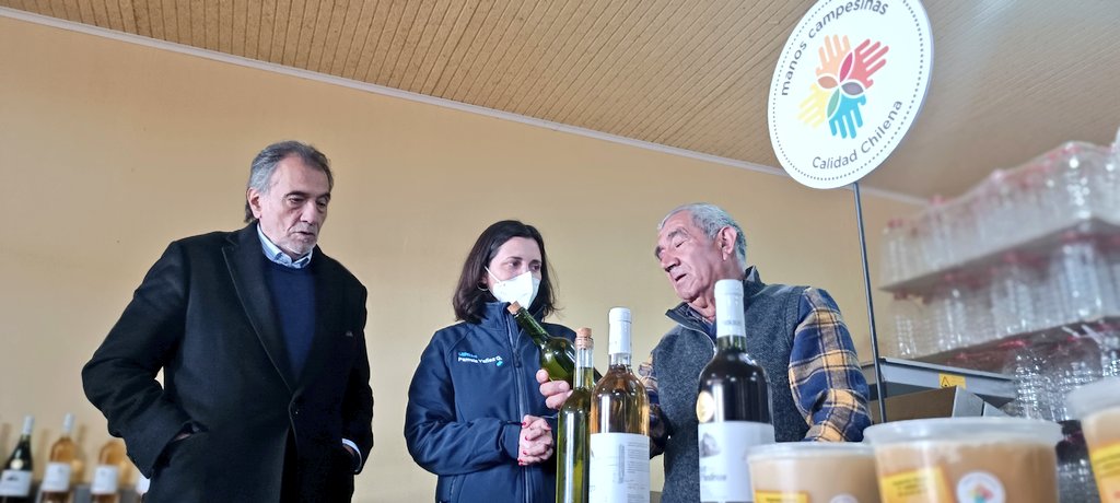 Minagri pone en marcha seguro agrícola para proteger a más de 500 pequeños viñateros de Biobío