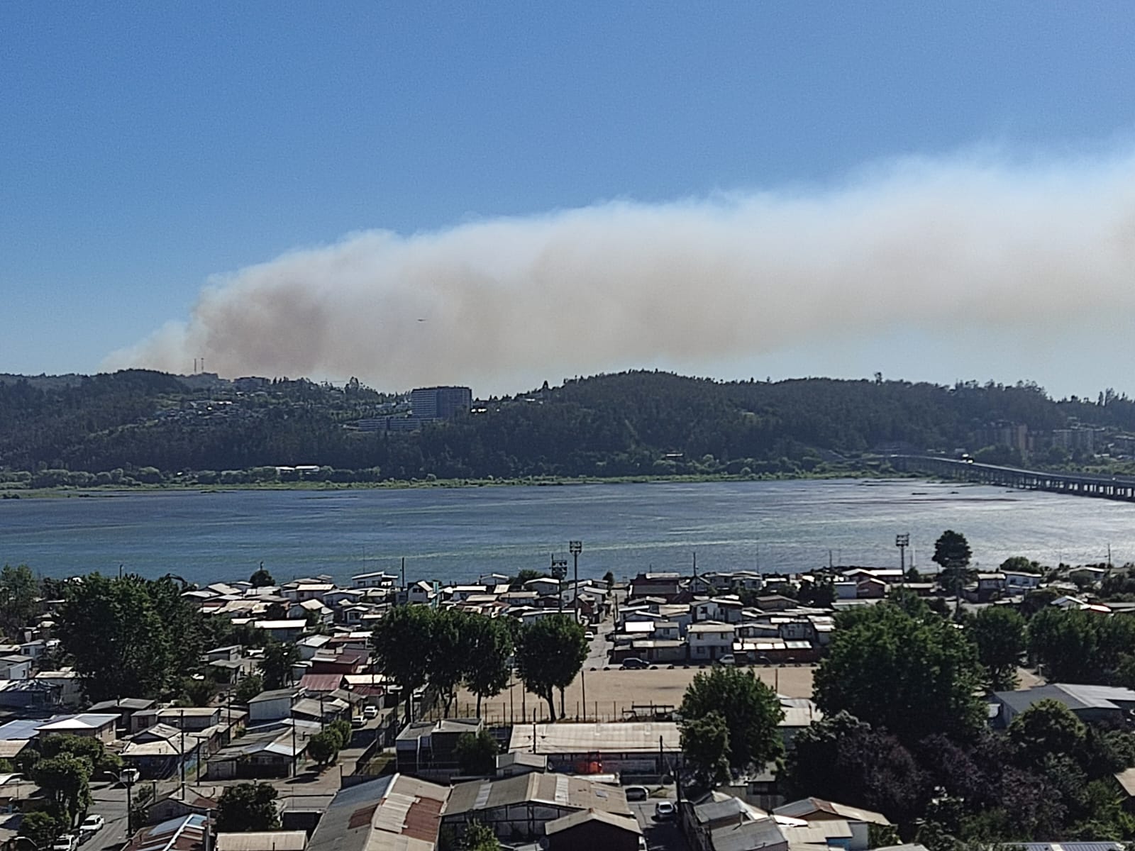 Decretan Alerta Roja por incendio forestal que amenaza a viviendas en San Pedro de la Paz