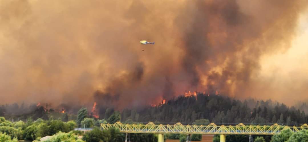 Más de mil hectáreas quemadas acumula el gigantesco incendio forestal en Nacimiento y Santa Juana