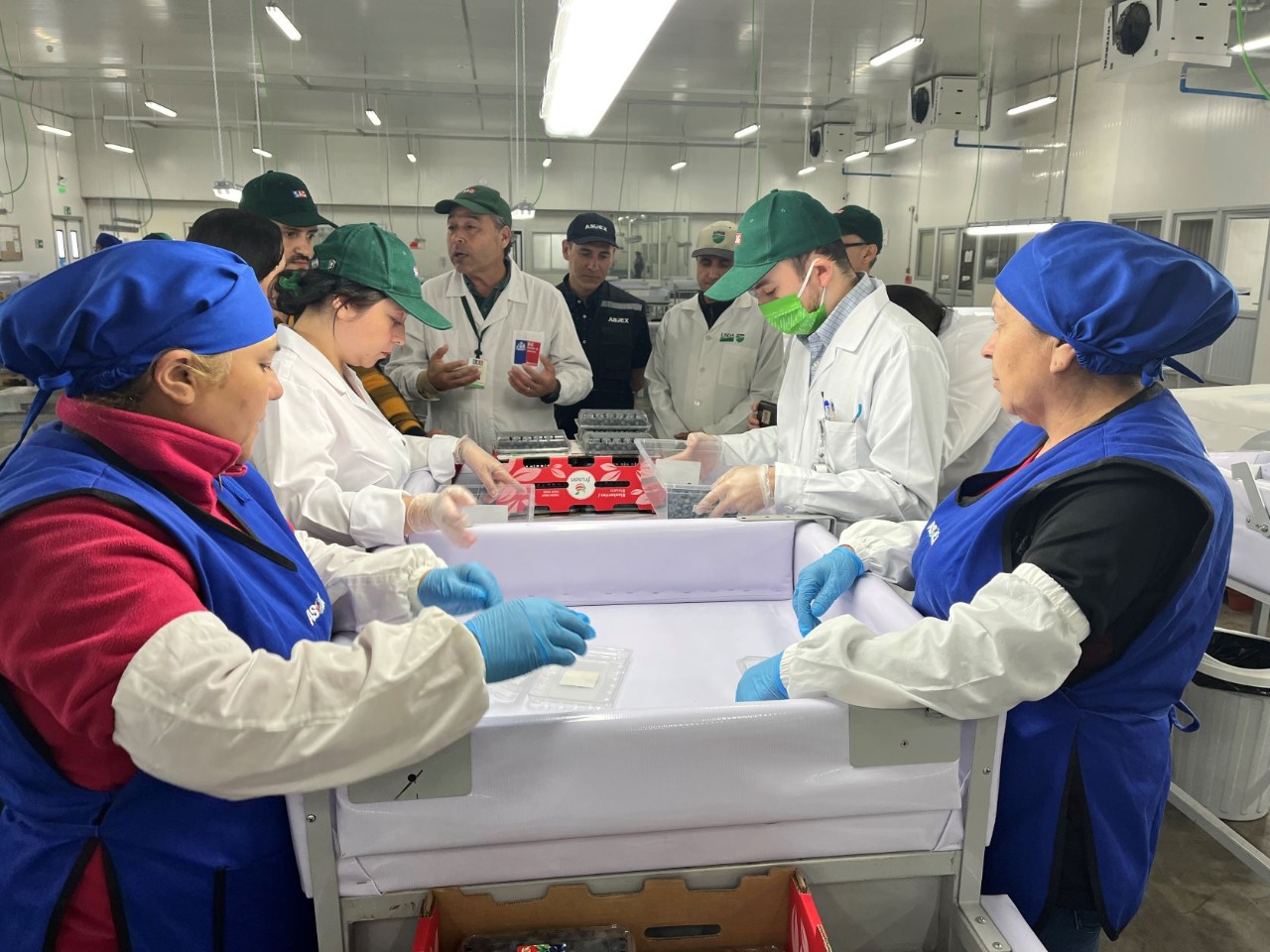 Se inicia nueva temporada de inspección en el Sitio SAG / USDA – APHIS / ASOEX de Cabrero