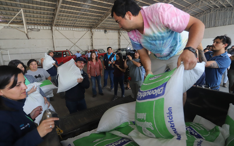 Gobierno comenzó entrega de ayuda a agricultores y sus animales afectados por incendios forestales en Biobío 