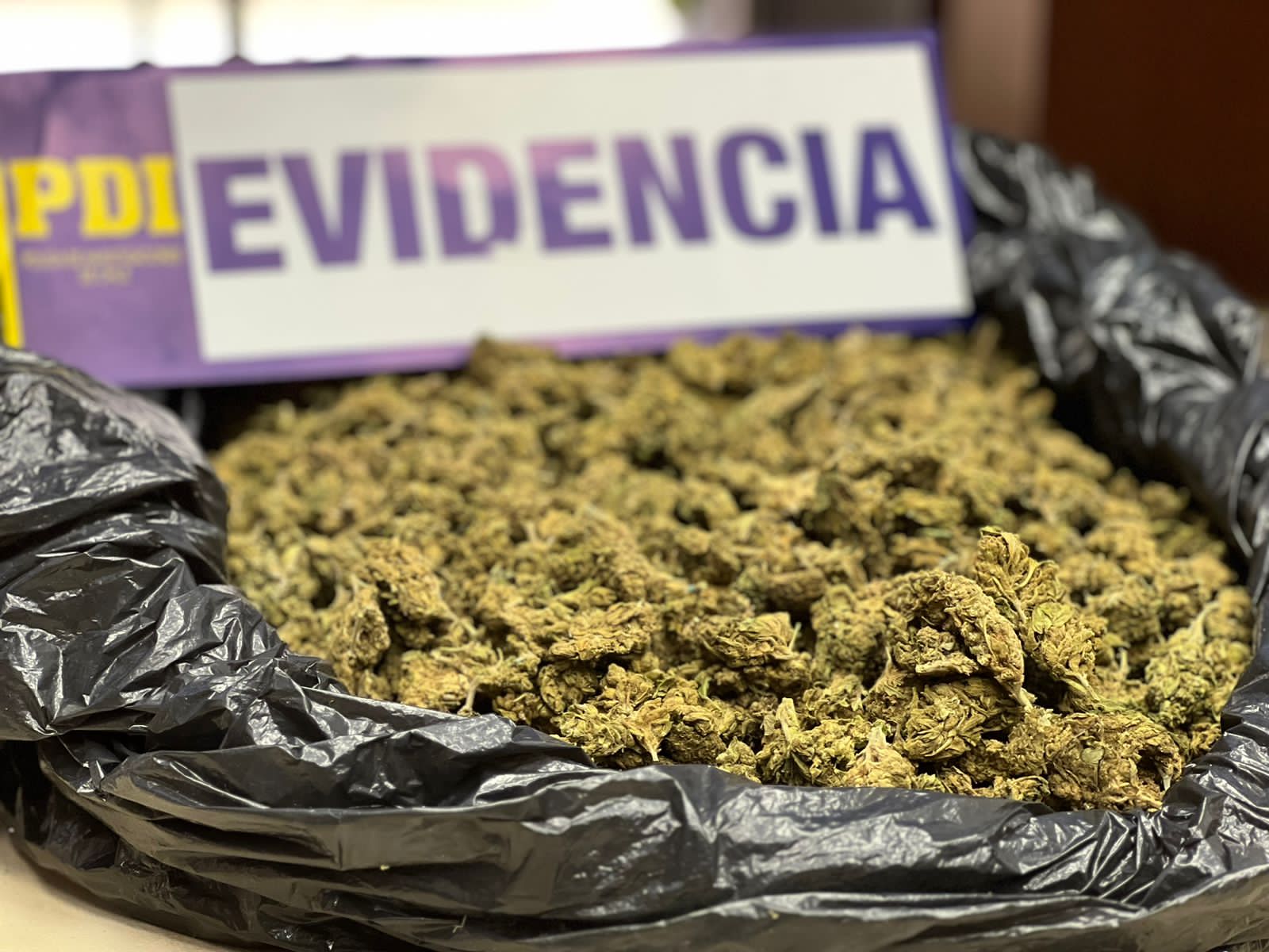 PDI incautó más de 30 mil dosis de droga avaluadas en cerca de $48 millones