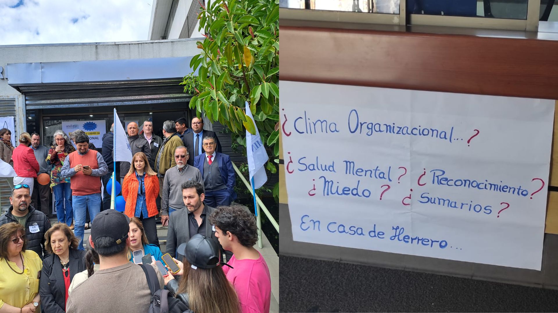 “Ambiente laboral insostenible”: funcionarios del Mineduc solicitan renuncia de la seremi de Educación del Biobío