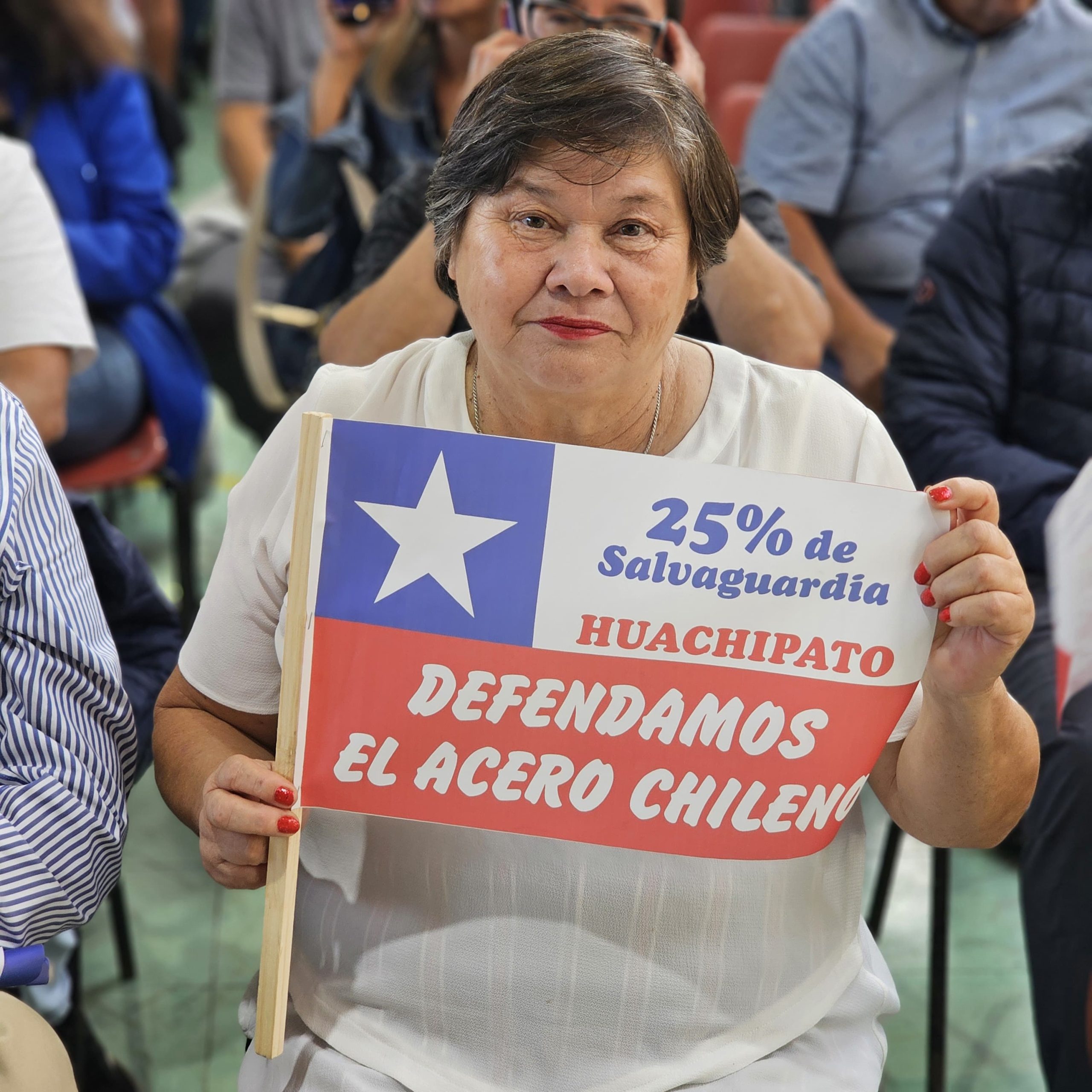 Diputada Acevedo impulsa intervención estatal en Huachipato: ¿Corfo como salvavidas de la siderúrgica?
