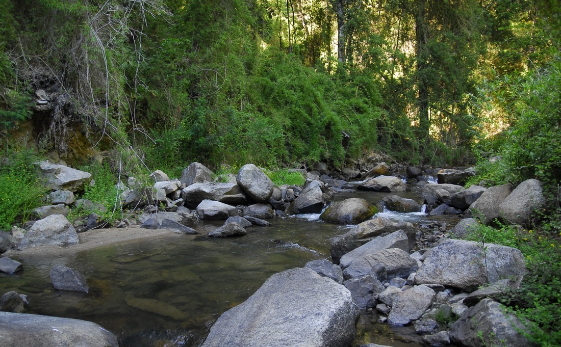 Parque Nacional Nonguén y Laguna de Laja tendrá acceso gratuito por el Día del Patrimonio