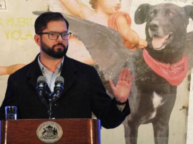 ¿Boric utilizó un adhesivo del Perro Matapacos?: Presidencia dio a conocer su versión