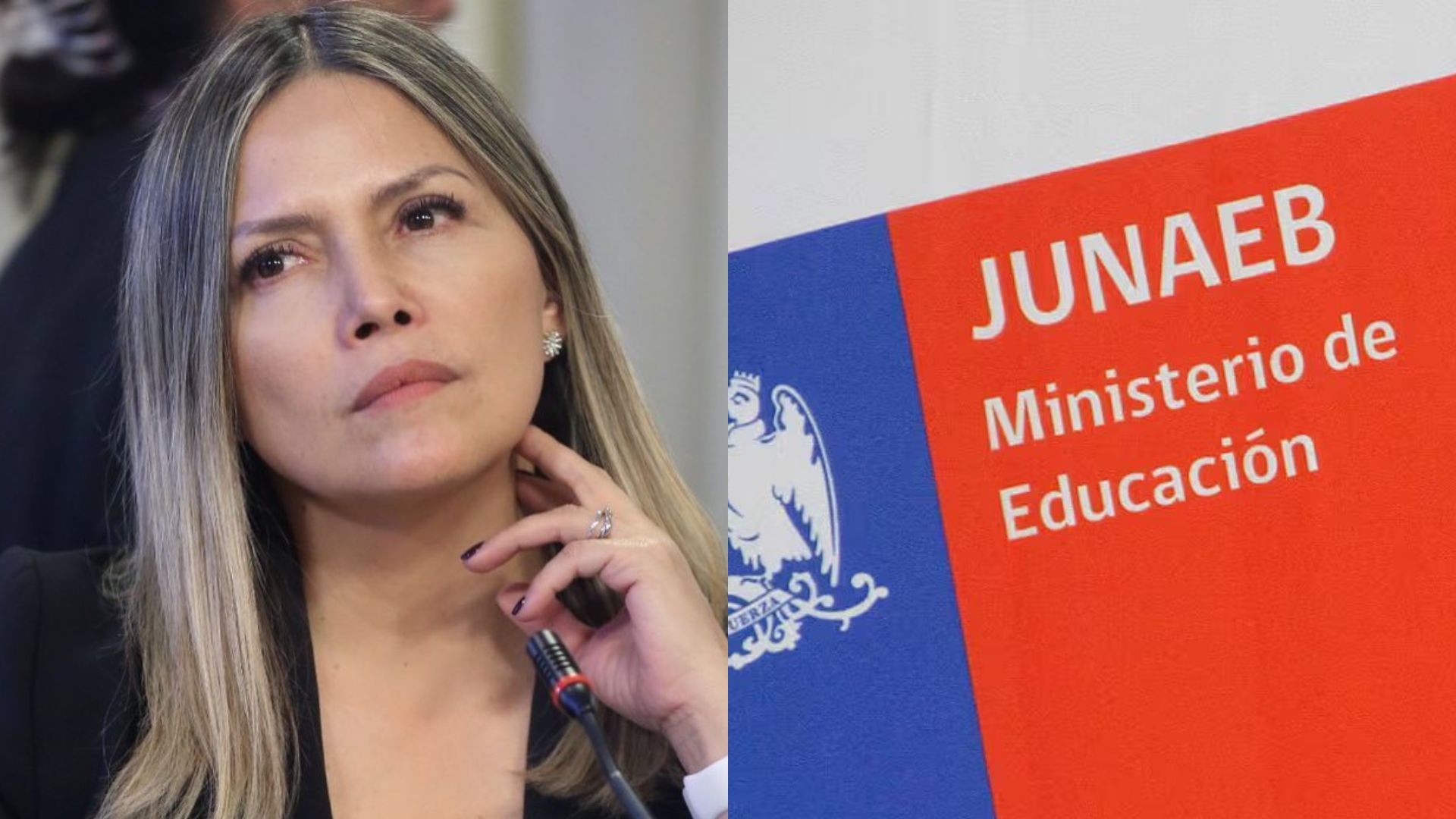 Diputada Pérez por irregularidades en la entrega de útiles escolares de Junaeb: «Es de una gravedad absoluta»