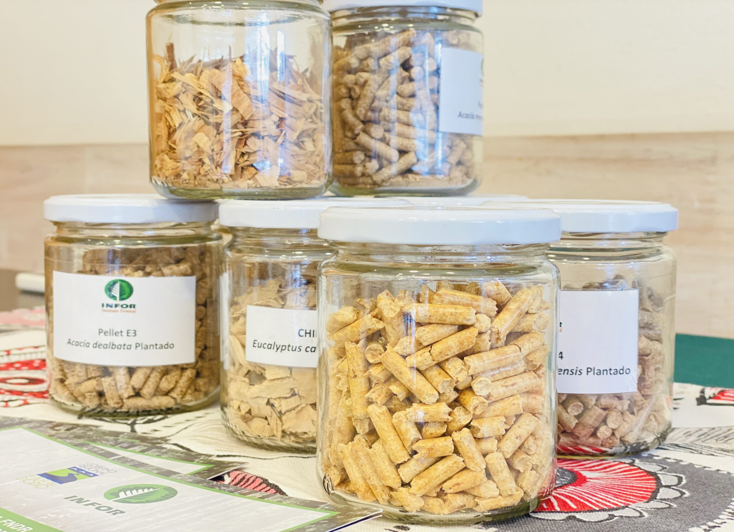 Invierten en plataforma que reducirá el riesgo de desabastecimiento de pellet en el Biobío