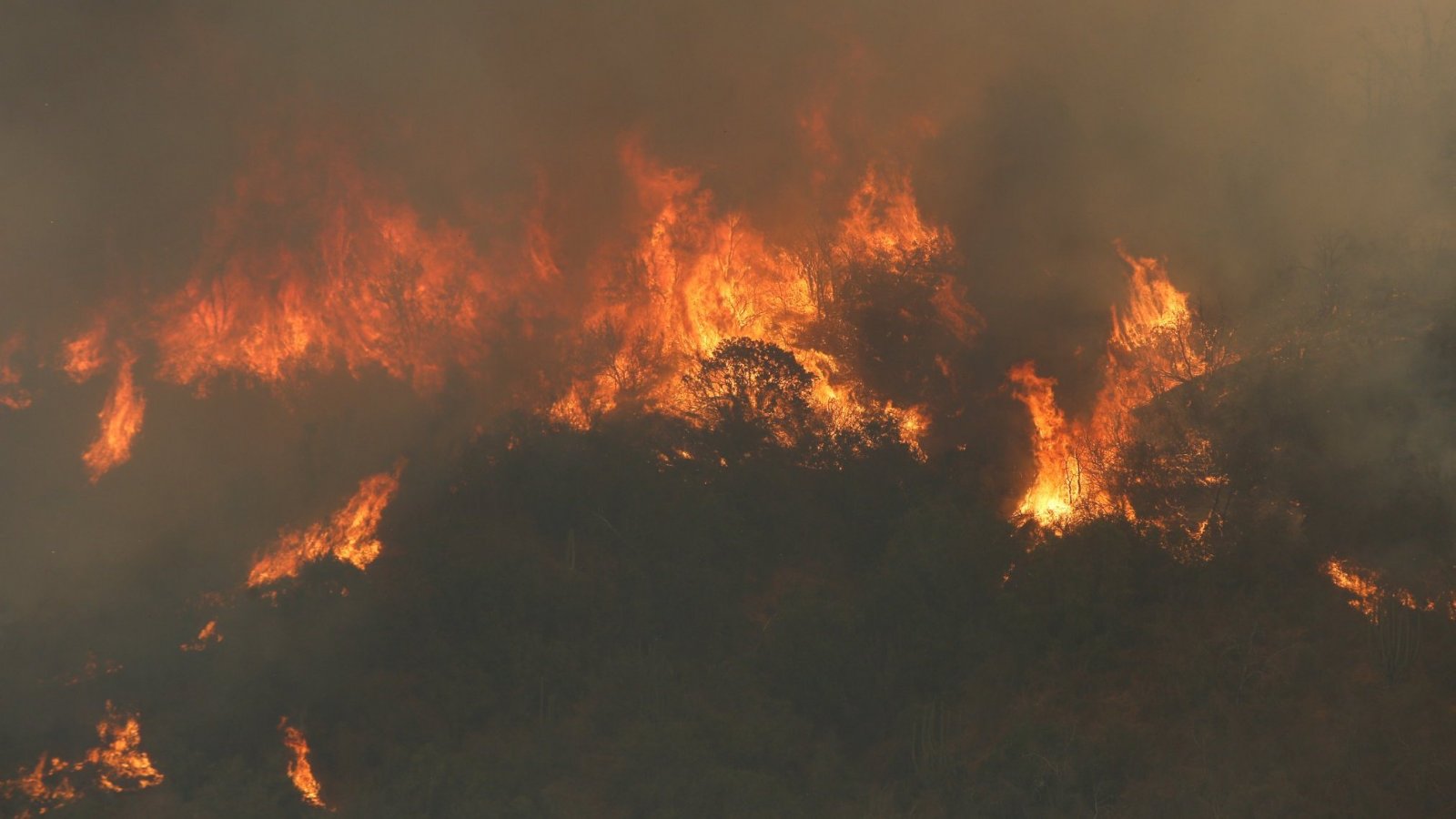 Detienen a mujer sospechosa de iniciar incendio en que murieron tres brigadistas en Los Sauces